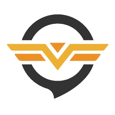 奇游加速器 logo